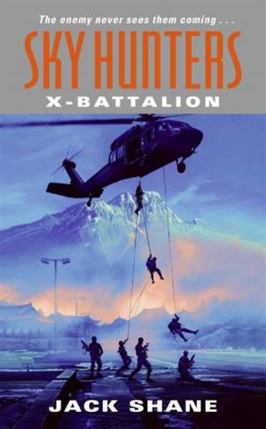 Cover of the book Sky Hunters: X-Battalion by Debra Ginsberg