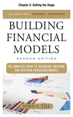Cover of the book Building Financial Models, Chapter 3 - Setting the Stage by Bruce Ellig
