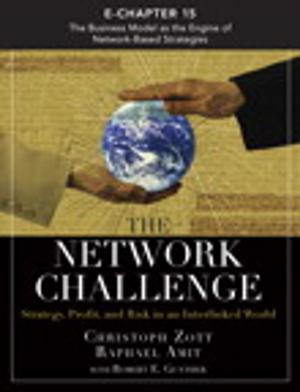 Book cover of The Network Challenge (Chapter 15)