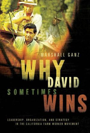 Cover of the book Why David Sometimes Wins by Elizabeth Drescher