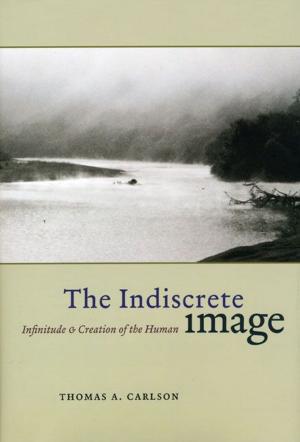 Book cover of The Indiscrete Image