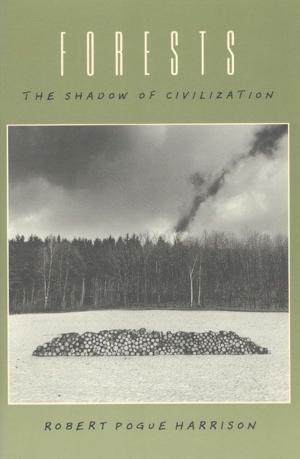 Cover of the book Forests by Norman Itzkowitz