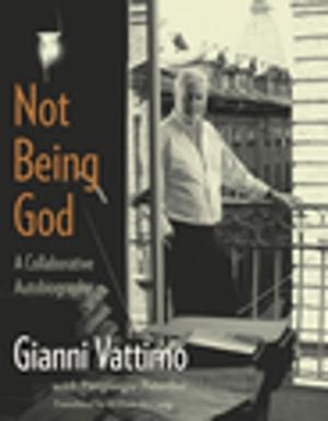 Cover of the book Not Being God by Gary Cross