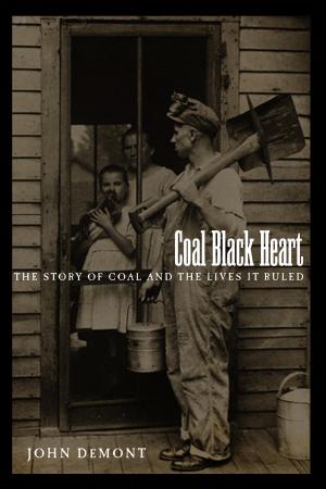 Book cover of Coal Black Heart