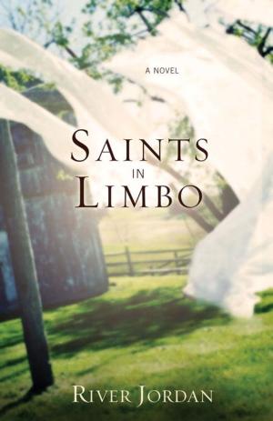 Cover of the book Saints in Limbo by Karen Ball