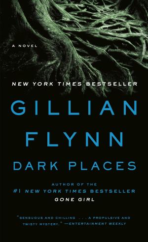 Book cover of Dark Places
