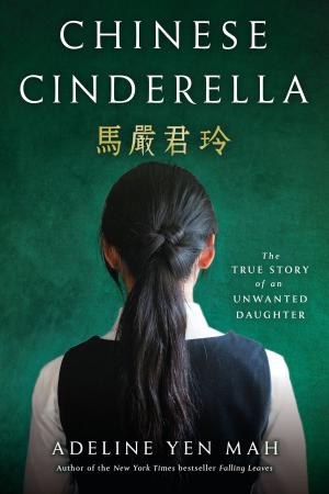 Cover of the book Chinese Cinderella by John Sandford, Michele Cook