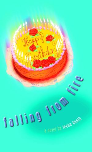 Cover of the book Falling from Fire by Lauren McLaughlin