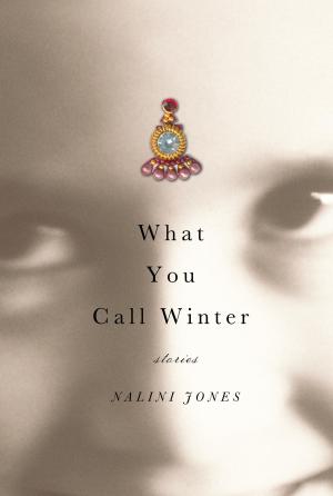 Cover of the book What You Call Winter by Elizabeth Warnock Fernea, Robert A. Fernea
