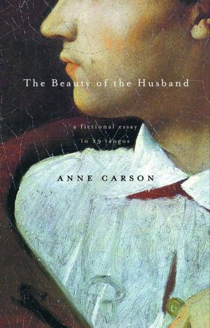bigCover of the book The Beauty of the Husband by 