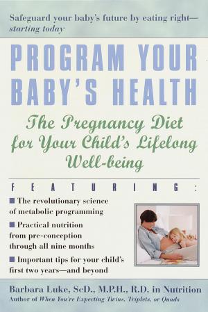 Cover of the book Program Your Baby's Health by Eliot Fintushel