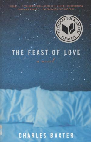 Book cover of The Feast of Love