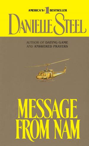 Cover of the book Message from Nam by Steven Martin