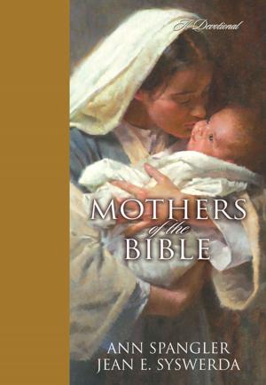 Cover of the book Mothers of the Bible by David Olshine