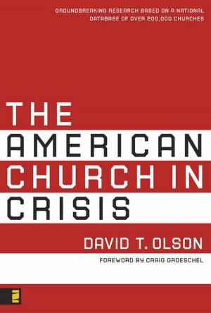 Cover of the book The American Church in Crisis by Dudley Delffs