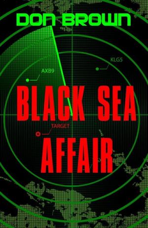 Cover of the book Black Sea Affair by Michele Cushatt