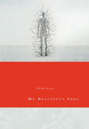 Cover of the book My Beautiful Idol by Catherine Claire Larson