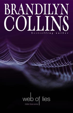 Cover of the book Web of Lies by Zondervan