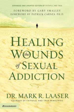 Cover of the book Healing the Wounds of Sexual Addiction by Amy Clipston