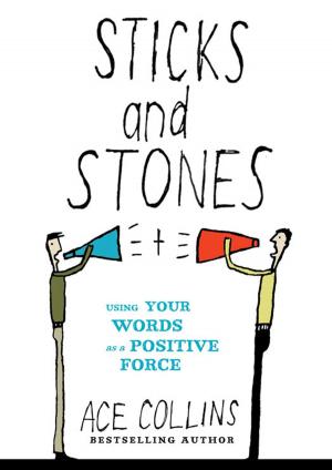Cover of the book Sticks and Stones by Steve Biddison