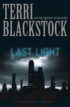 Cover of the book Last Light by Jean E. Syswerda, Zondervan