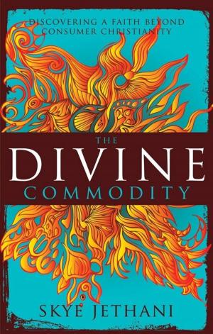 Book cover of The Divine Commodity
