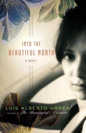 Cover of the book Into the Beautiful North by James Patterson