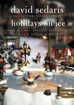 Cover of the book Holidays on Ice by Matthieu Ricard