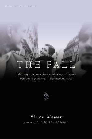Cover of the book The Fall by David Foster Wallace