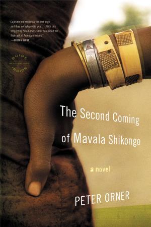 Book cover of The Second Coming of Mavala Shikongo