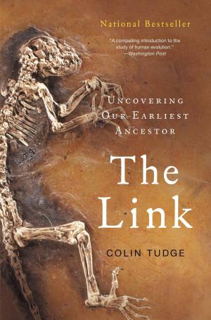 Cover of the book The Link by Sarah Lotz
