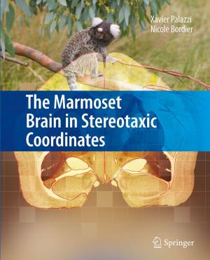 Cover of the book The Marmoset Brain in Stereotaxic Coordinates by Vadim Kagan, Edward Rossini, Demetrios Sapounas