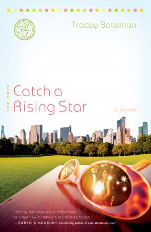 Cover of the book Catch a Rising Star by Karen Valentin