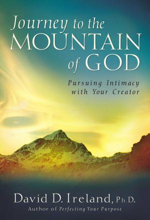 bigCover of the book Journey to the Mountain of God by 