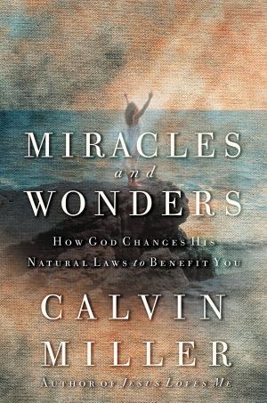 Cover of the book Miracles and Wonders by Karen Moore