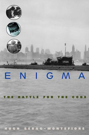 Cover of the book Enigma by Connie Jankowski