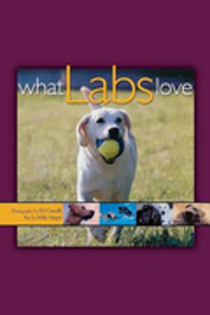 Cover of the book What Labs Love by Jennifer Danek, Marita Danek