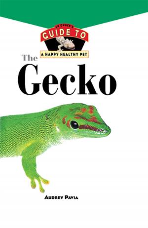 Book cover of The Gecko