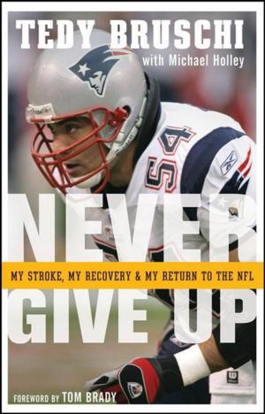 Cover of the book Never Give Up by Vanessa L. Ochs