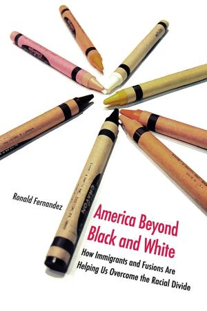 Cover of the book America Beyond Black and White by Joseph Moreau