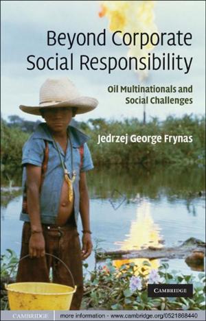 Cover of the book Beyond Corporate Social Responsibility by Professor Dinissa Duvanova