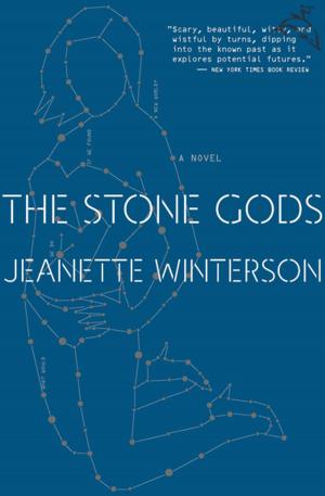 Cover of the book The Stone Gods by Joseph Epstein