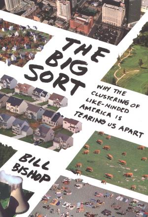 bigCover of the book The Big Sort by 
