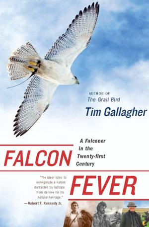 Cover of the book Falcon Fever by Margaret Drabble