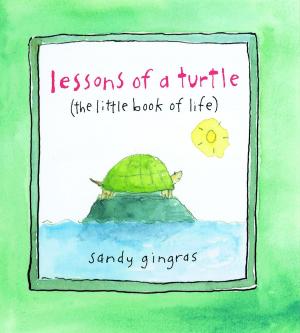 Cover of the book Lessons of a Turtle by Philippe Gabilliet