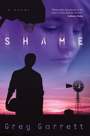 Cover of the book Shame by Dr. Jeff Myers