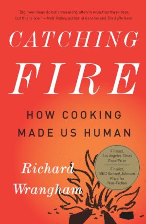 Cover of the book Catching Fire by James Weinstein