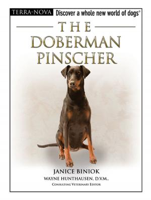 Book cover of The Doberman Pinscher