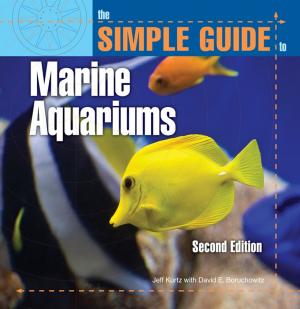 Cover of the book Simple Guide Marine Aquariums by Lexiann Grant