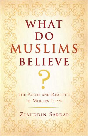 Cover of the book What Do Muslims Believe? by Jimmy Burns